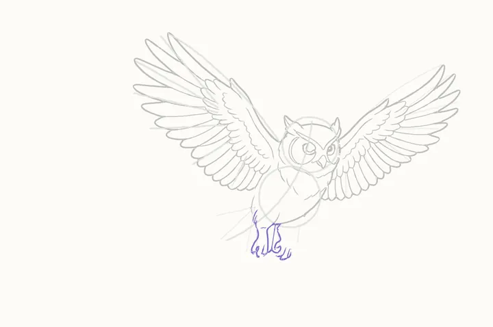 How to draw an owl flying, step 22: the feet