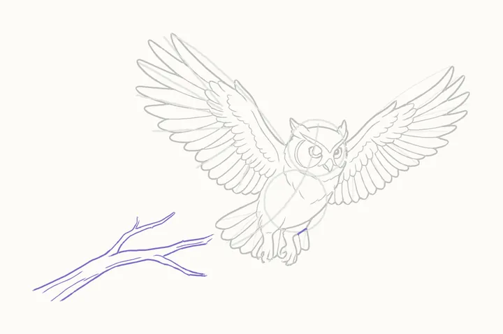 How to draw an owl flying, step 24: the branch