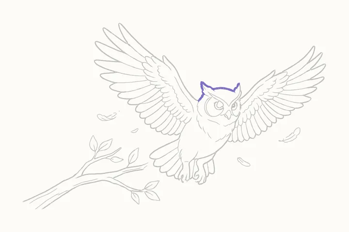 How to draw an owl flying, step 28: go over her head