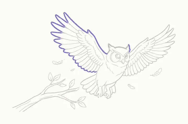 How to draw an owl flying, step 29: go over the near wing