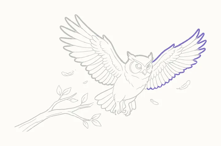 How to draw an owl flying, step 30: go over the far wing