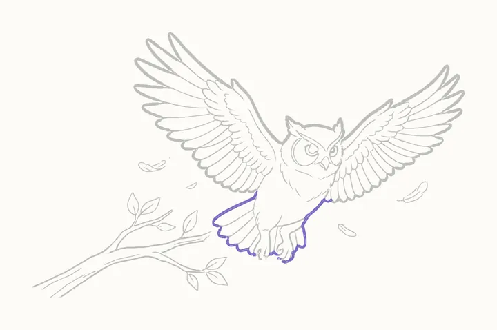 How to draw an owl flying, step 31: go over her body