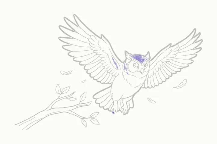 How to draw an owl flying, step 32: shading her head