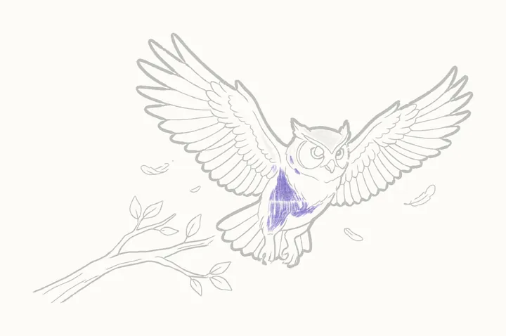 How to draw an owl flying, step 33: shading her body