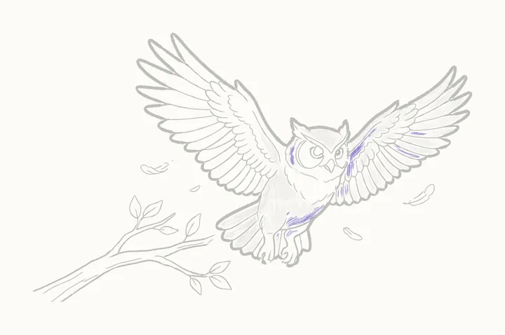 How to draw an owl flying, step 37: deep shadows on the right