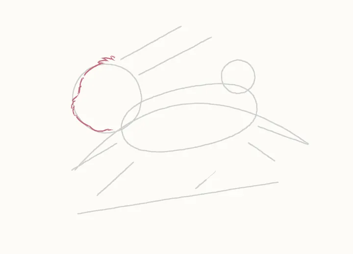 How to draw a rabbit jumping, step 5: the head