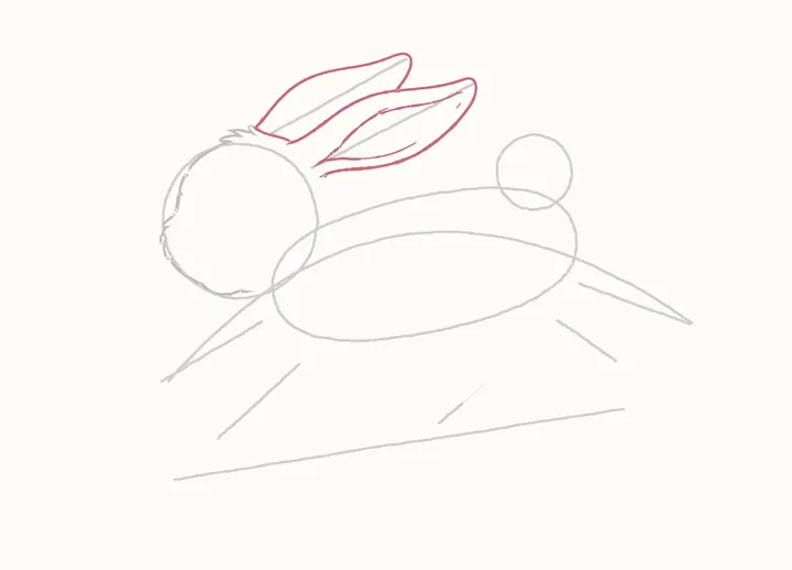 How to draw a rabbit jumping, step 6: the ears