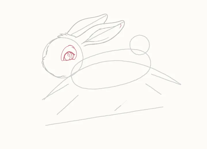 How to draw a rabbit jumping, step 7: the near eye