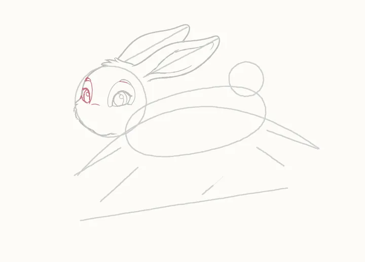 How to draw a rabbit jumping, step 8: the far eye