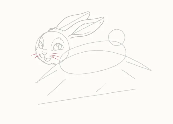 How to draw a rabbit jumping, step 10: the whiskers