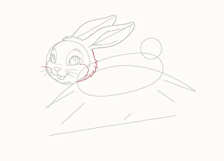 How to draw a rabbit jumping, step 11: the cheek and neck