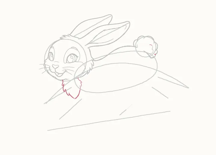 How to draw a rabbit jumping, step 13: the chest
