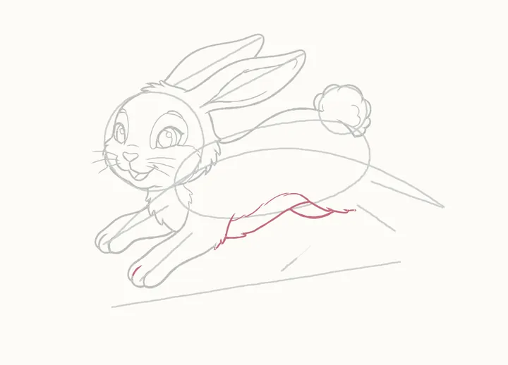 How to draw a rabbit jumping, step 15: the belly