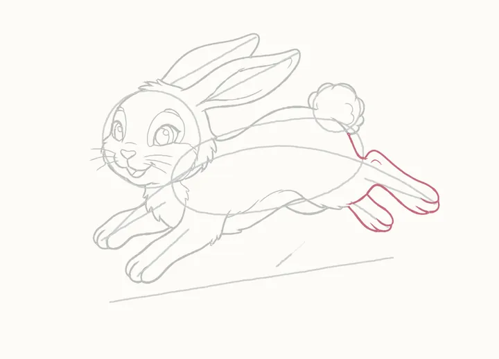 How to draw a rabbit jumping, step 16: the back legs