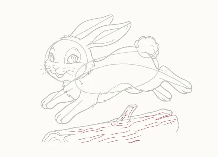 How to draw a rabbit jumping, step 18: the bark