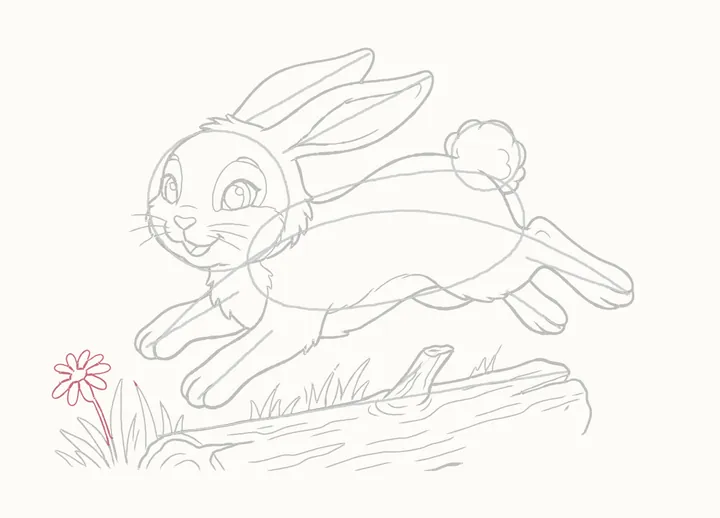How to draw a rabbit jumping, step 21: a daisy on the left