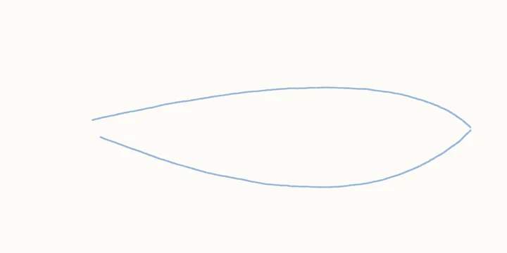 How to draw a shark, step 1: body guides
