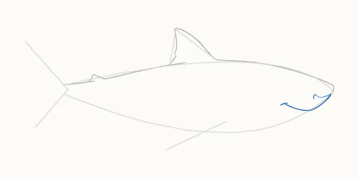 How to draw a shark, step 4: the smile