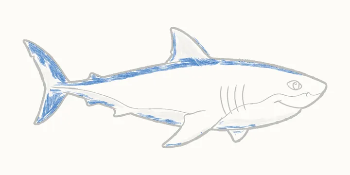 How to draw a shark, step 15: deep shadows