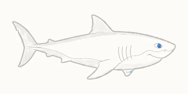 How to draw a shark, step 16: the darks