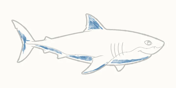 Cómo dibujar un tiburón, paso 17: sombreado suave