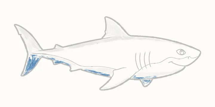 Cómo dibujar un tiburón, paso 19: bordes más oscuros
