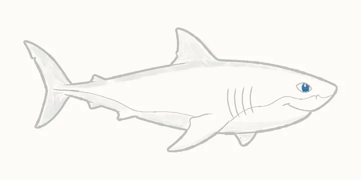 Cómo dibujar un tiburón, paso 20: los toques oscuros