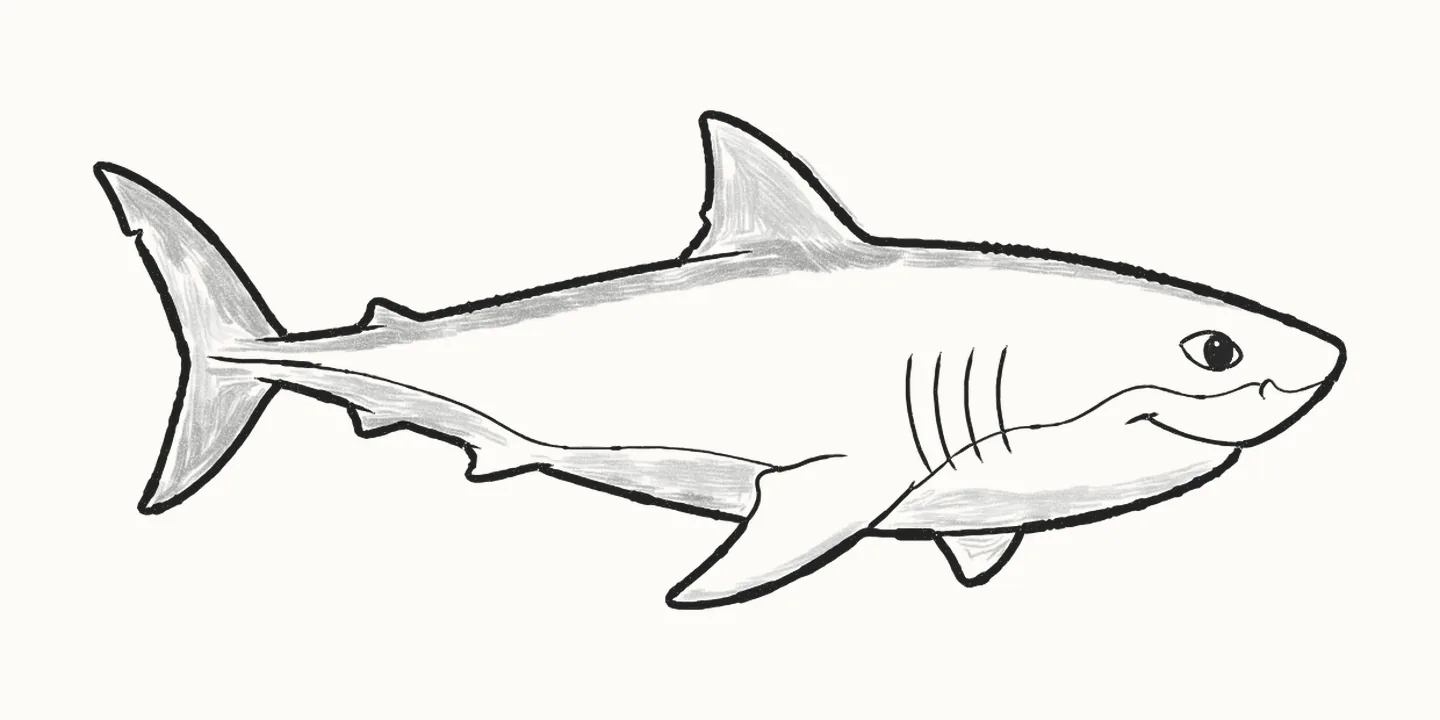 A finished pencil drawing of a friendly great white shark with a tall back fin, a crescent tail and a big smile