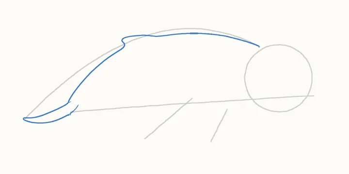 How to draw a whale, step 3: the back and tail