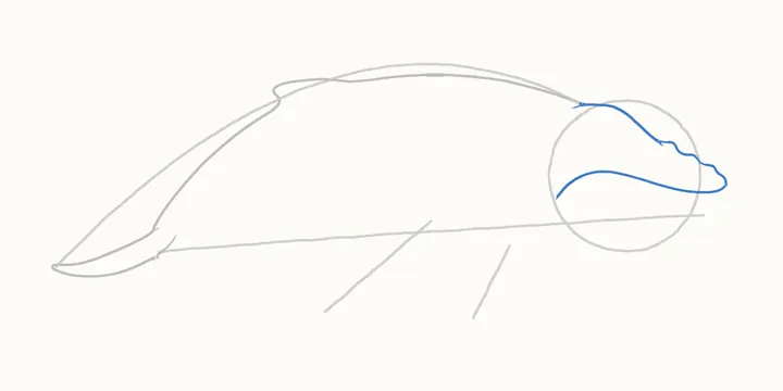 How to draw a whale, step 4: the head