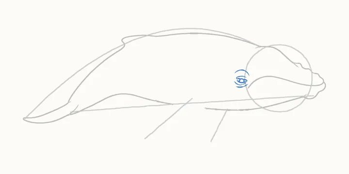 How to draw a whale, step 6: the eye