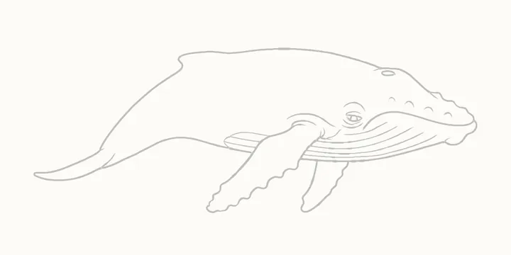 How to draw a whale, step 10: erase the guides
