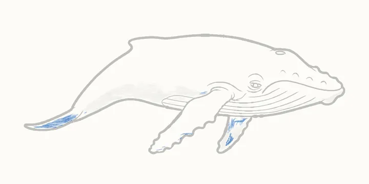 How to draw a whale, step 13: deep shadows