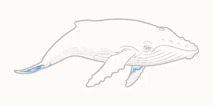 Cómo dibujar una ballena, paso 22: sombras profundas