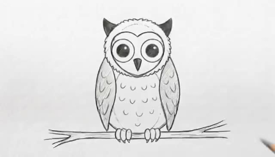 Pencil drawing of an owl